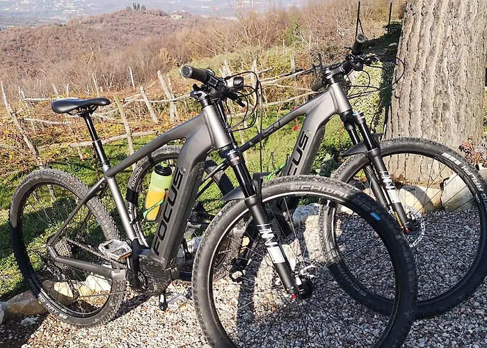 Bed & Breakfast Peler 4*